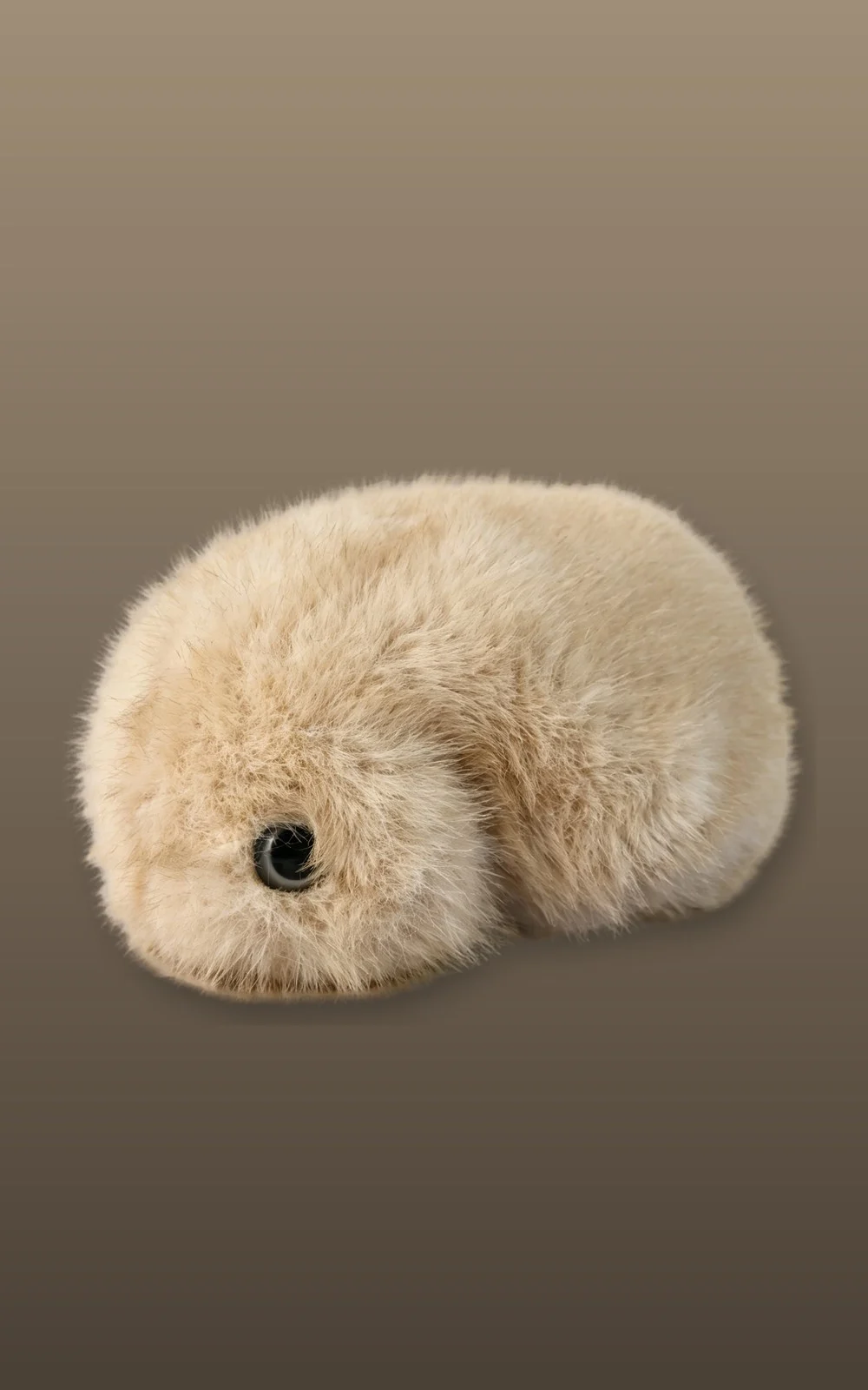 Interactive Pets
